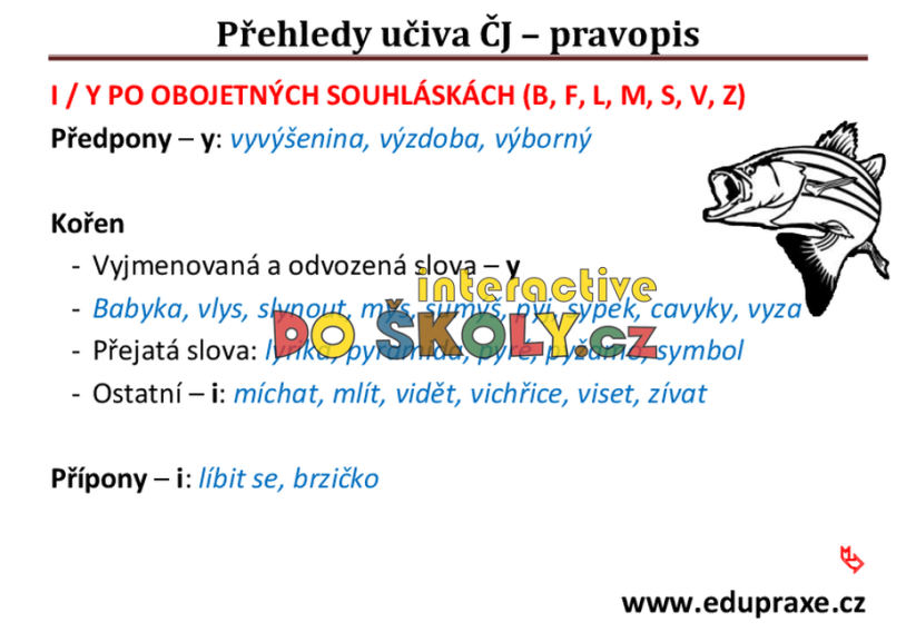 Přehledy do českého jazyka - pravopis